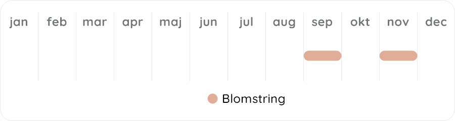 Växtdiagram