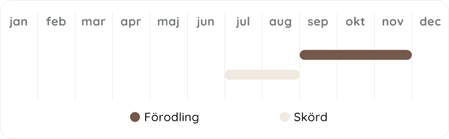 Växtdiagram