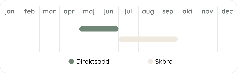 Växtdiagram