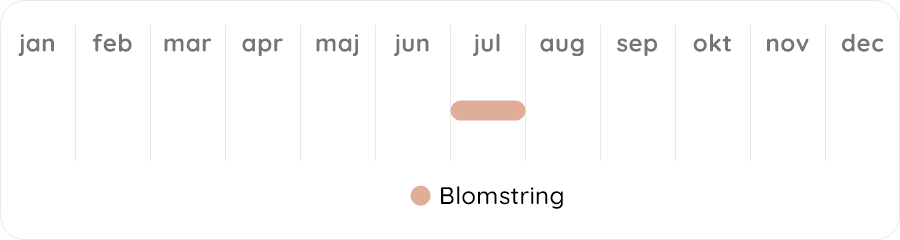 Växtdiagram