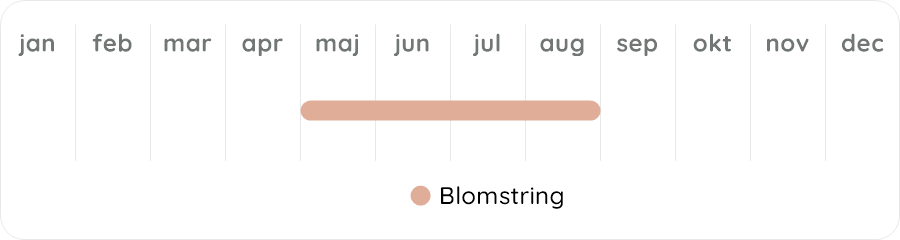 Växtdiagram