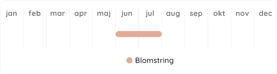 Växtdiagram