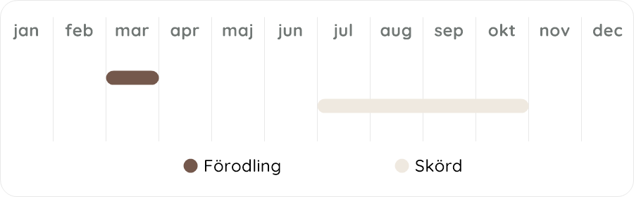 Växtdiagram