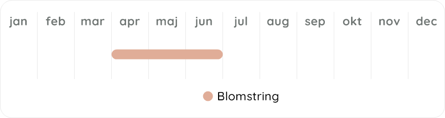 Växtdiagram