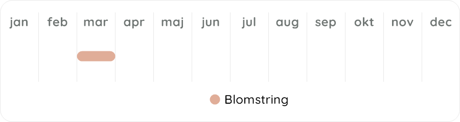 Växtdiagram