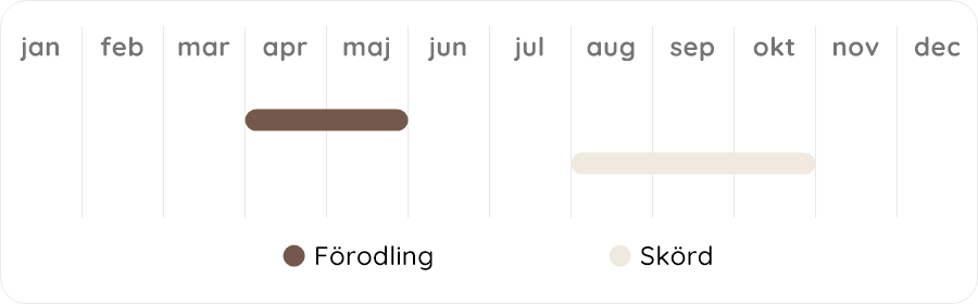 Växtdiagram