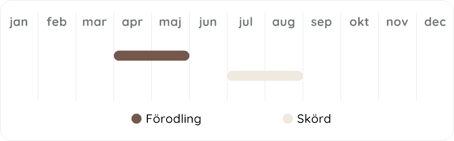 Växtdiagram