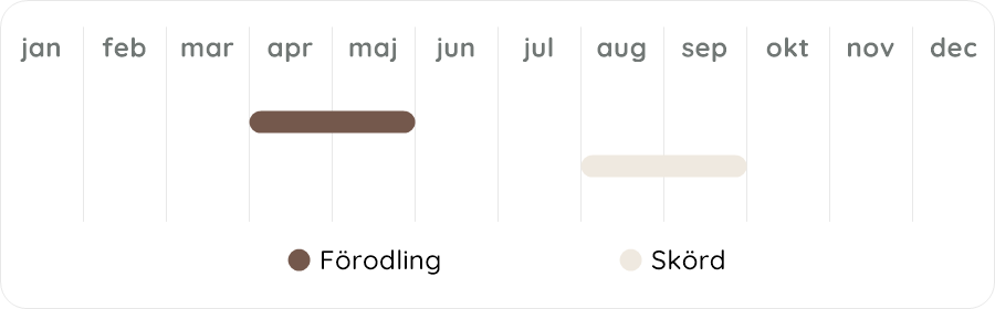 Växtdiagram