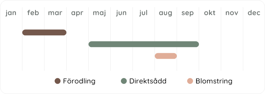 Växtdiagram