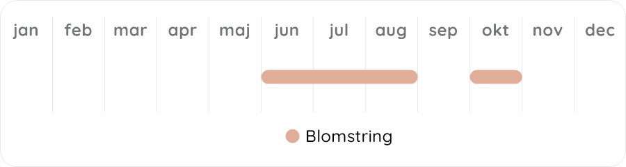 Växtdiagram