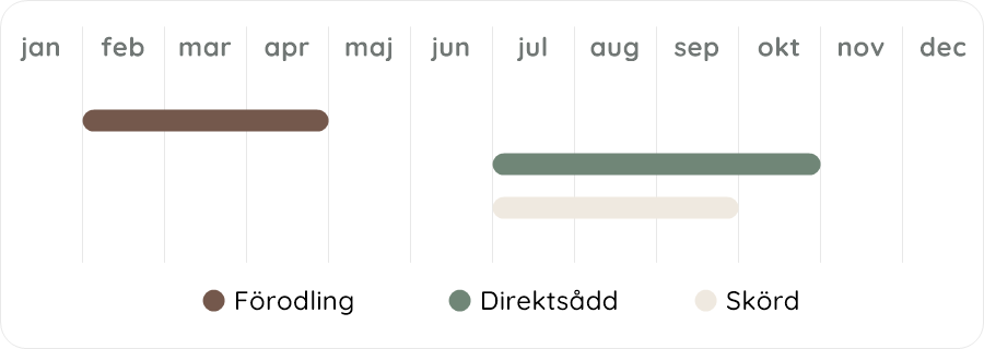 Växtdiagram