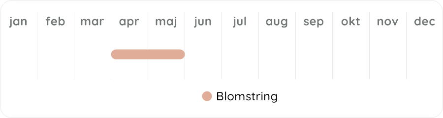 Växtdiagram