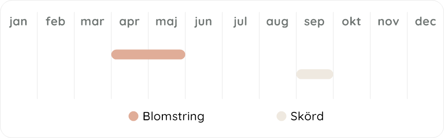 Växtdiagram