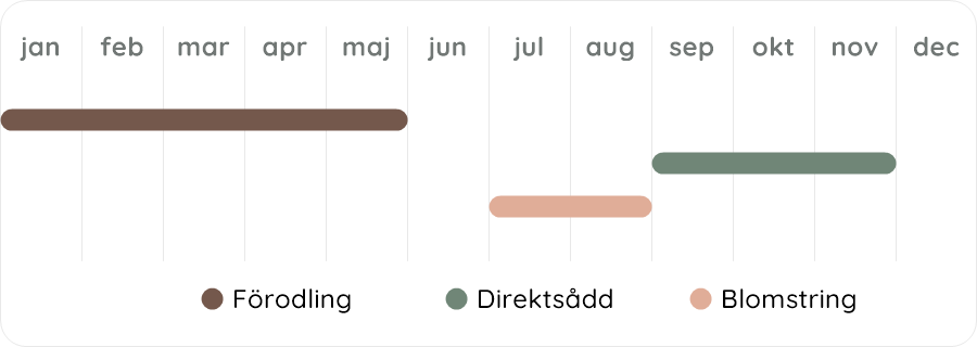 Växtdiagram