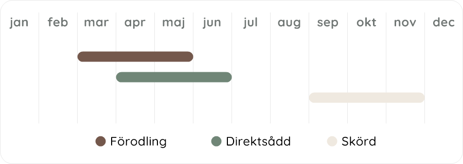 Växtdiagram