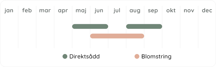 Växtdiagram