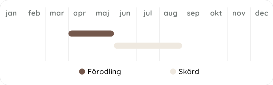 Växtdiagram