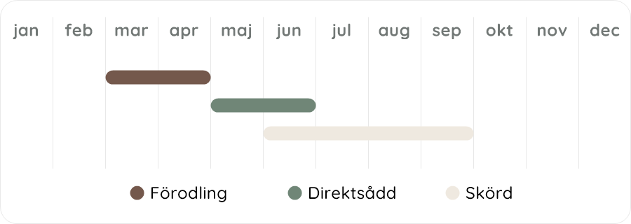 Växtdiagram