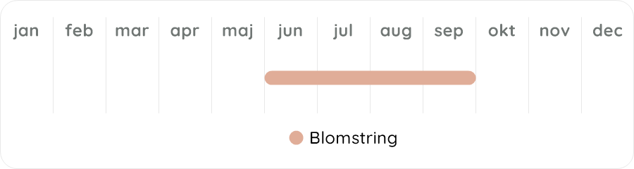 Växtdiagram