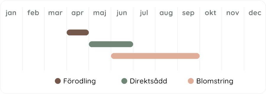 Växtdiagram