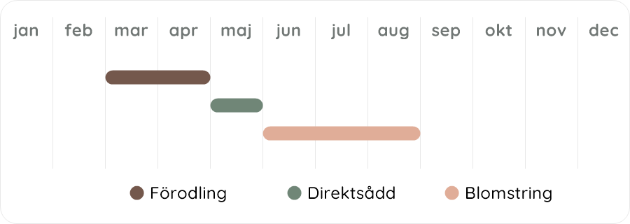 Växtdiagram