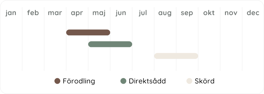 Växtdiagram