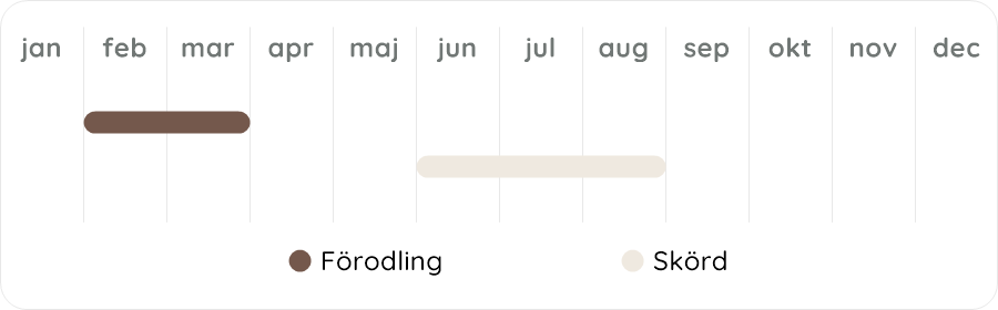 Växtdiagram