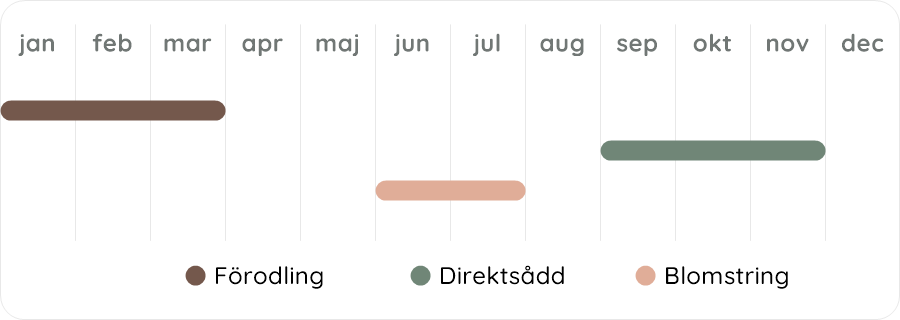 Växtdiagram