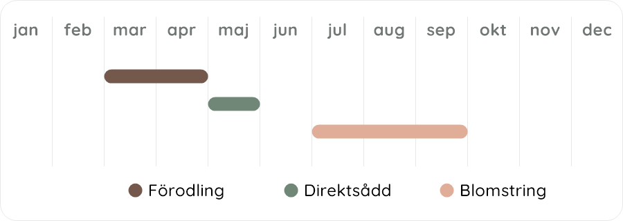 Växtdiagram
