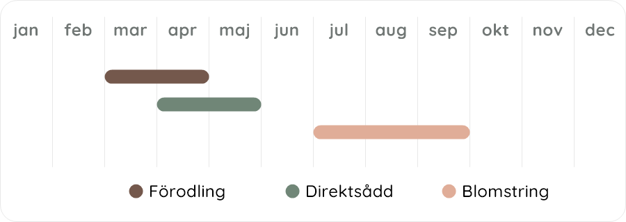 Växtdiagram