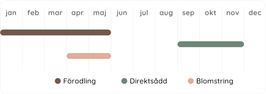 Växtdiagram