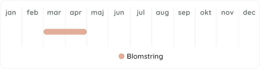 Växtdiagram