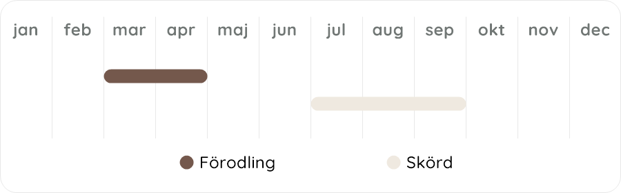 Växtdiagram