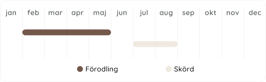 Växtdiagram
