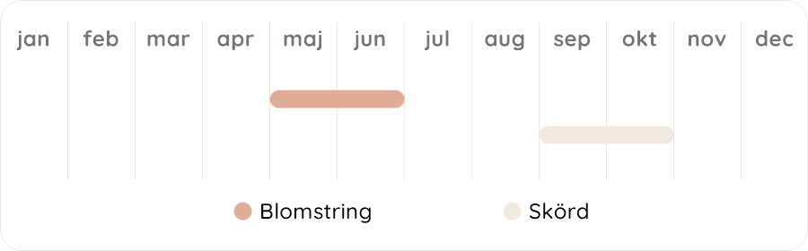 Växtdiagram