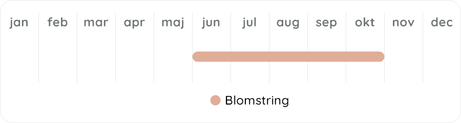 Växtdiagram