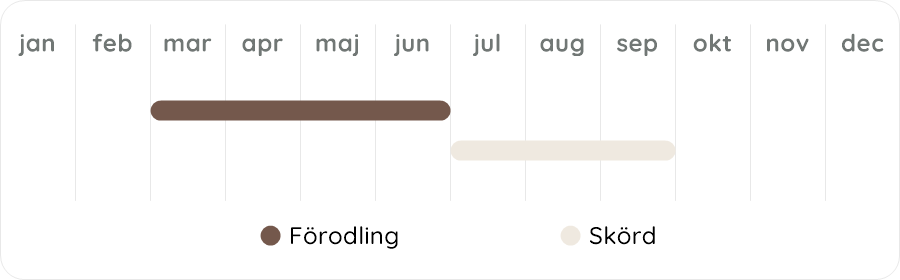 Växtdiagram