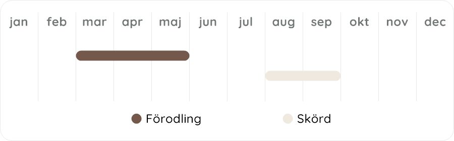 Växtdiagram