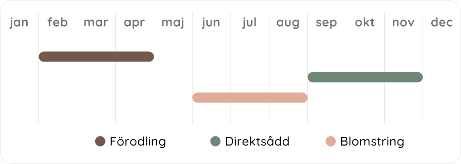 Växtdiagram