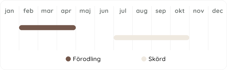 Växtdiagram