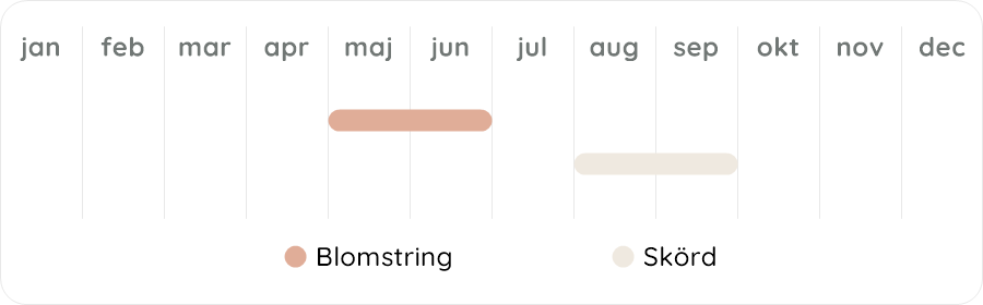 Växtdiagram