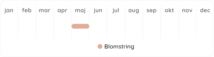 Växtdiagram