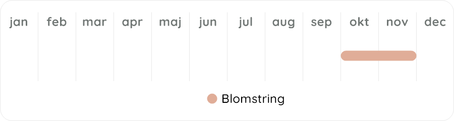 Växtdiagram