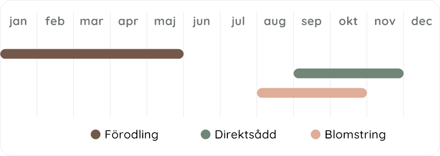 Växtdiagram