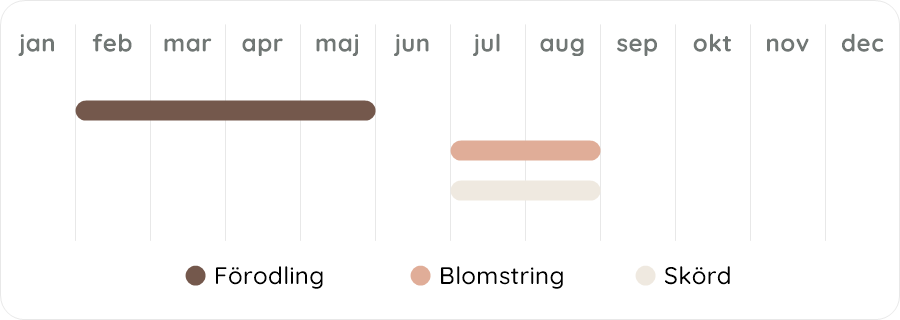 Växtdiagram