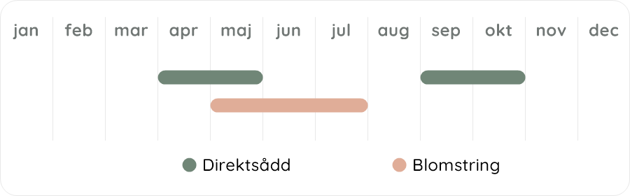Växtdiagram