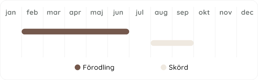 Växtdiagram